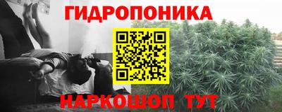 ПСИЛОЦИБИНОВЫЕ ГРИБЫ Кинель