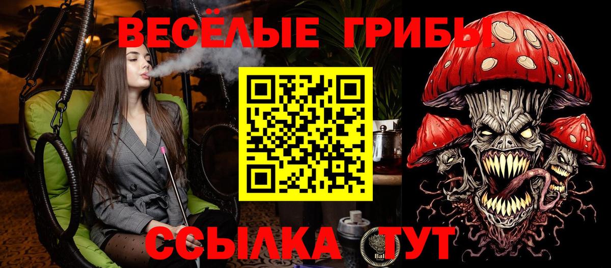 Псилоцибиновые грибы прущие грибы  Вход с VPN  Галлюциногенные грибы мухоморы  Кумертау 